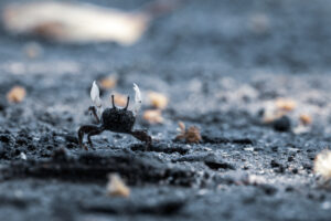 2022年8月19日 第7号 文明史的転換（その2）